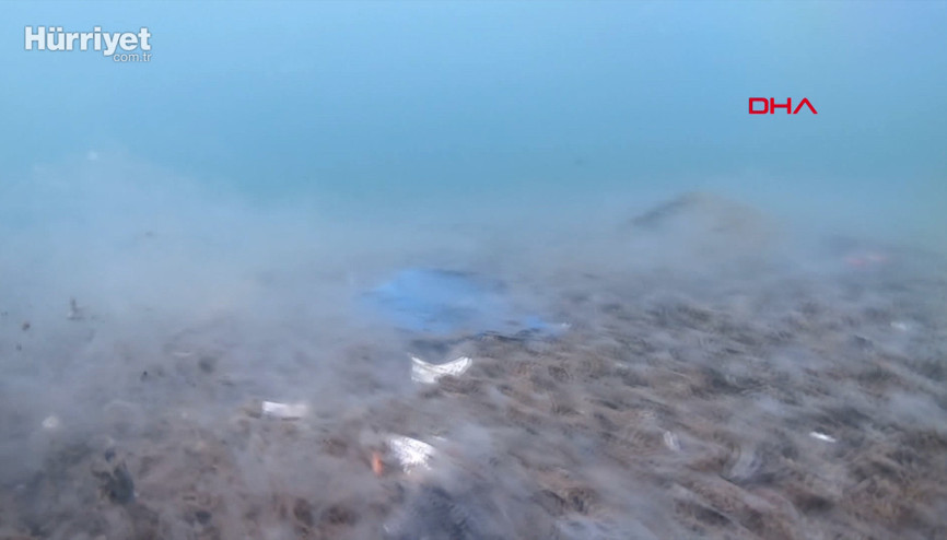 Kadıköyden Marmaraya daldı, deniz dibini saran salyayı görüntüledi