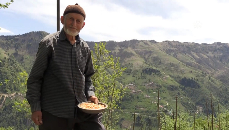 Dededen kalma tohumlarla 70 yaşında çiftçilik yapıyor
