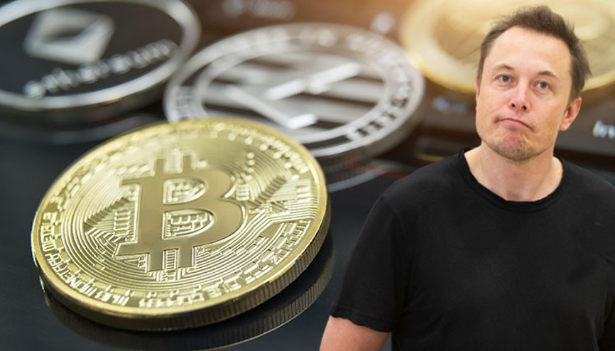 Elon Muskı izleyeceğim derken avlandılar 10 milyon dolar buhar oldu