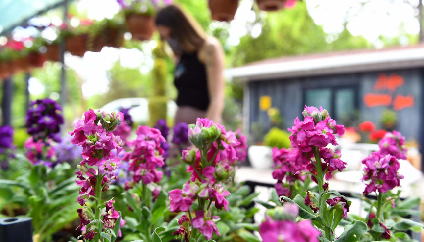 Evler ve bahçeler renklenecek