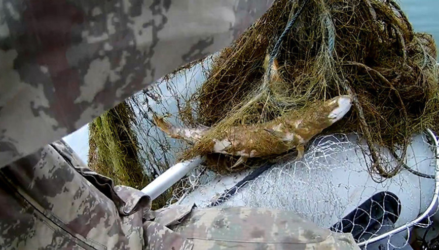 1 kilometre uzunluğunda... İnceleme başlatıldı Manzara korkunçtu, tam anlamıyla katliam