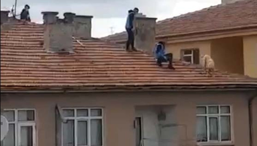Çatıya çıktı mahsur kaldı