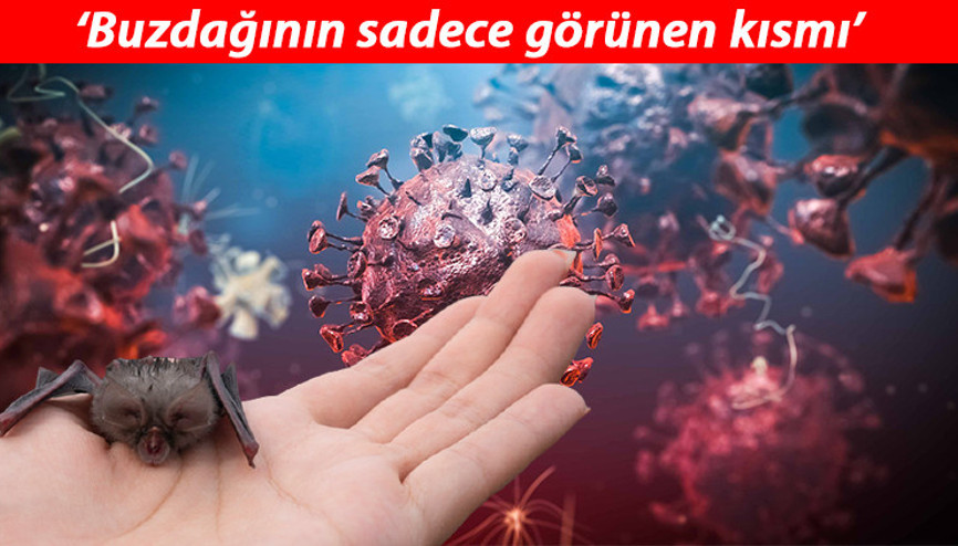 Salgın kâbusu bitmeden... Yarasalarda görülen koronavirüslerin soy ağacında yeni bir dala rastlandı