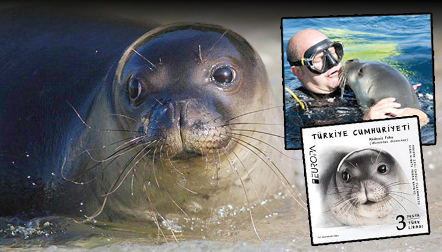 Badem En İyi Pul yarışmasında