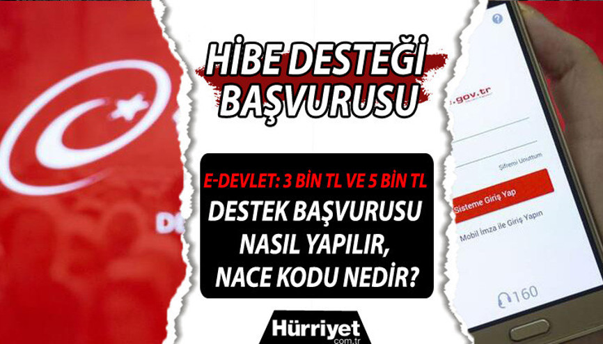 Hibe desteği başvuru tarihi:  E-Devlet: 3 bin TL ve 5 bin TL esnaf hibe desteği başvurusu nasıl yapılır, NACE kodu nedir İşte merak edilen detaylar..