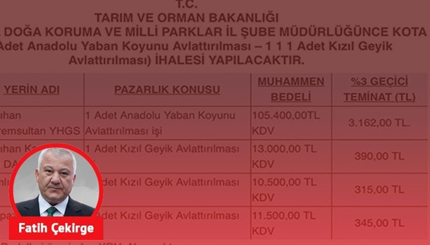 Hayvan hakları adına durdurun bu ilanı