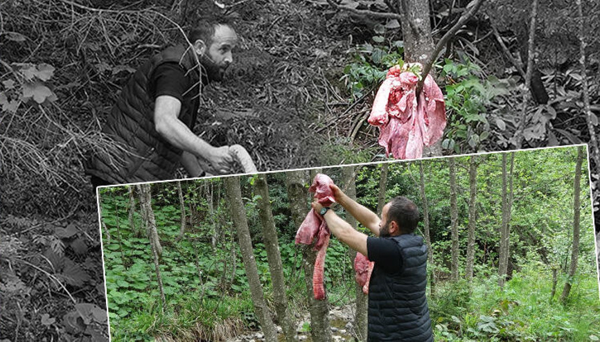 Ayılar köylere inmesin’ diye ormana ‘sakatat’ bırakıyorlar