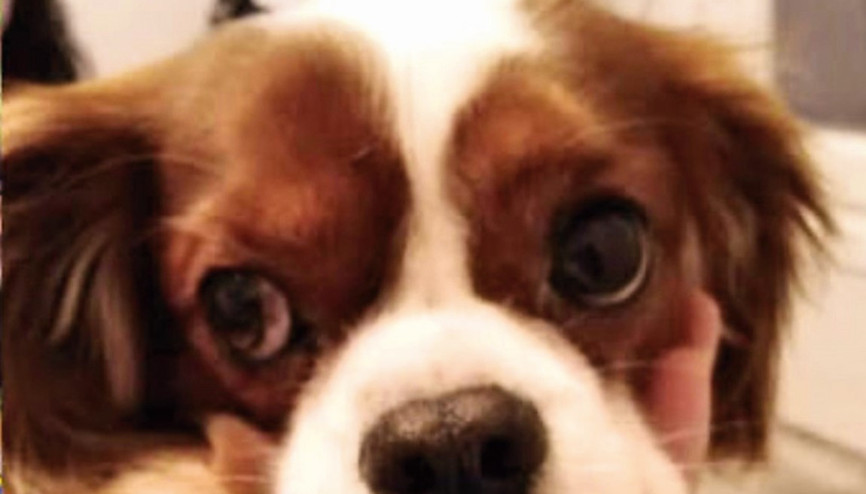 Robin’e tekme cezasında bir ilk Robin’e tekme cezasında bir ilk