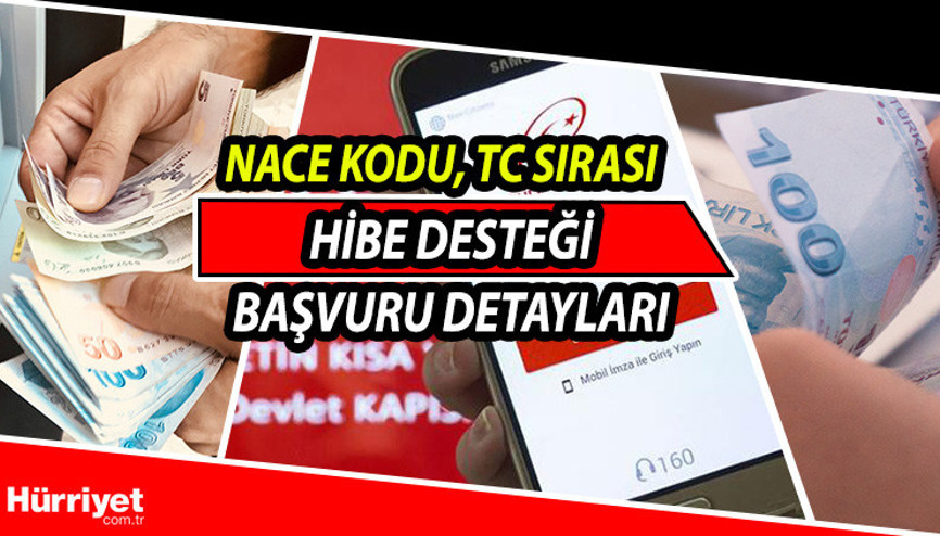 Hibe desteği başvurusu: E-Devlet esnafa hibe desteği 3 bin ve 5 bin TL başvuru ekranı ve şartları