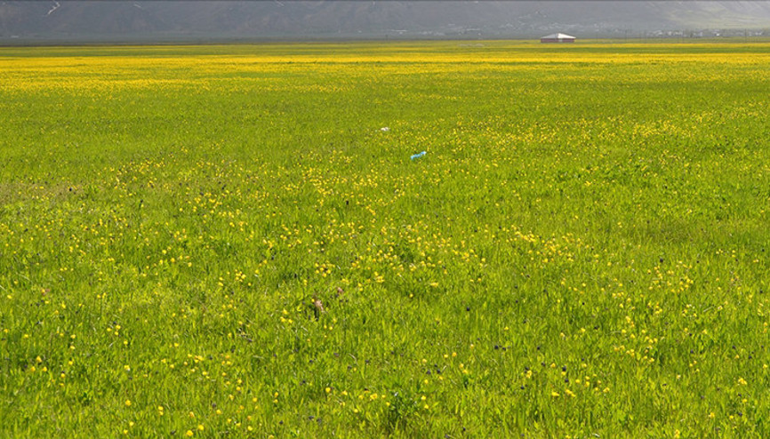 İpekyolu Kalkınma Ajansı Barak Ovasına hayat verecek