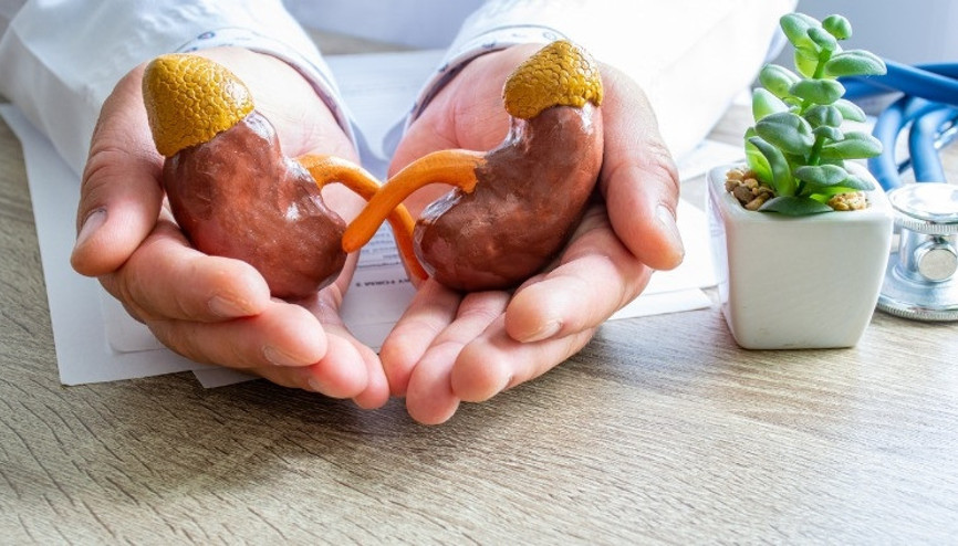 Böbrek taşı oluşumundan korunma yolları