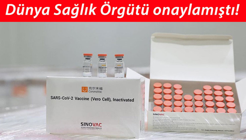 DSÖ onaylamıştı Bakan Kocadan Coronavac mesajı