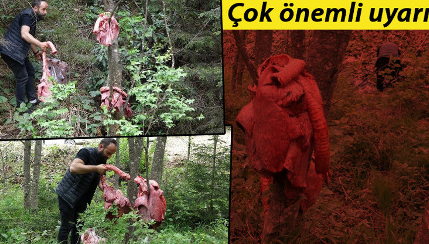 Ağaçlara asılan sakatat görenleri şaşırtmıştı Prof. Dr. Şağdan Başkayadan çok önemli uyarı