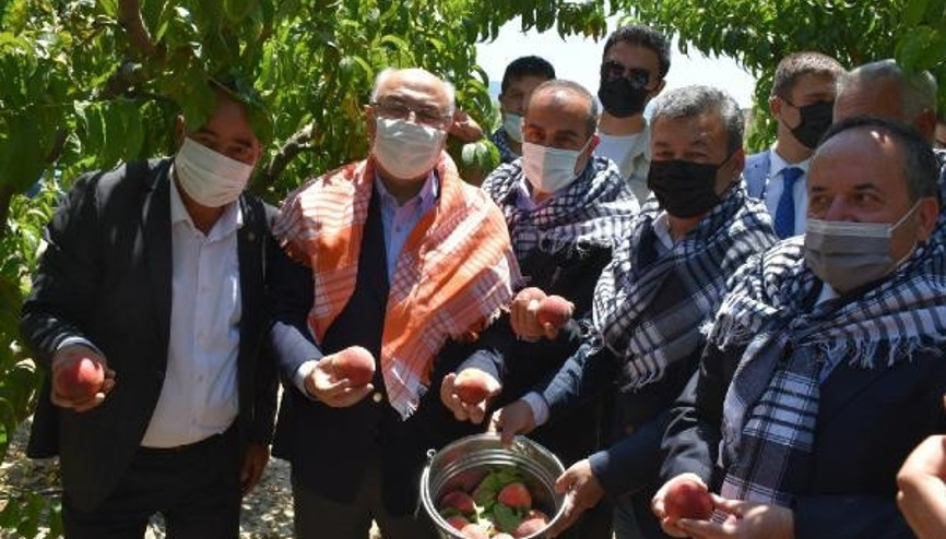 Vali Köşger, Selçukta şeftali hasadı yaptı Vali Köşger, Selçukta şeftali hasadı yaptı