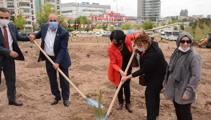 Farkındalık için hatıra ormanı