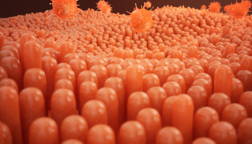 Kolera nedir, belirtileri nelerdir İşte hastalığın bulaş yolları ve detaylar