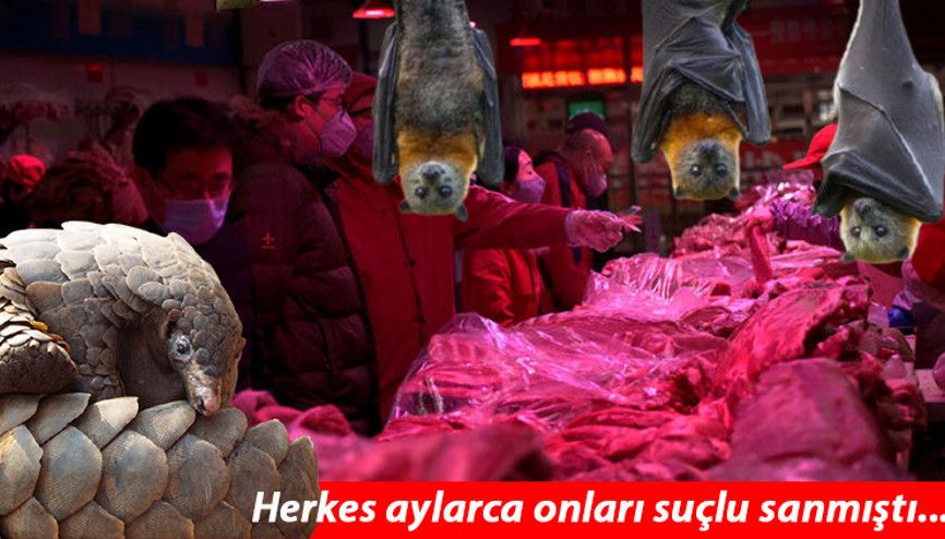 Son dakika haberleri... Bu Kovid raporu dünyayı sarsacak.. Yer: Çin.. sızıntı teorisi Son dakika haberleri... Bu Kovid raporu dünyayı sarsacak.. Yer: Çin.. sızıntı teorisi