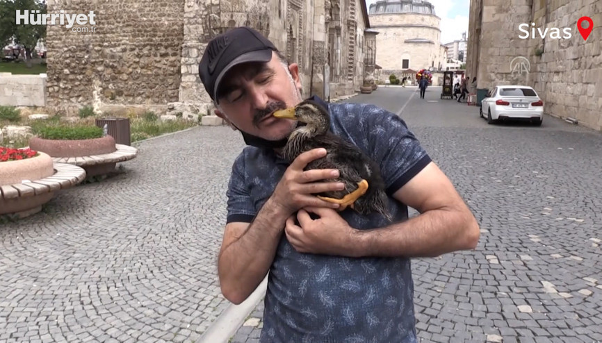Sivaslı hayvanseverin Çelik Naz adını verdiği ördek yavrusuyla dostluğu ilgi görüyo