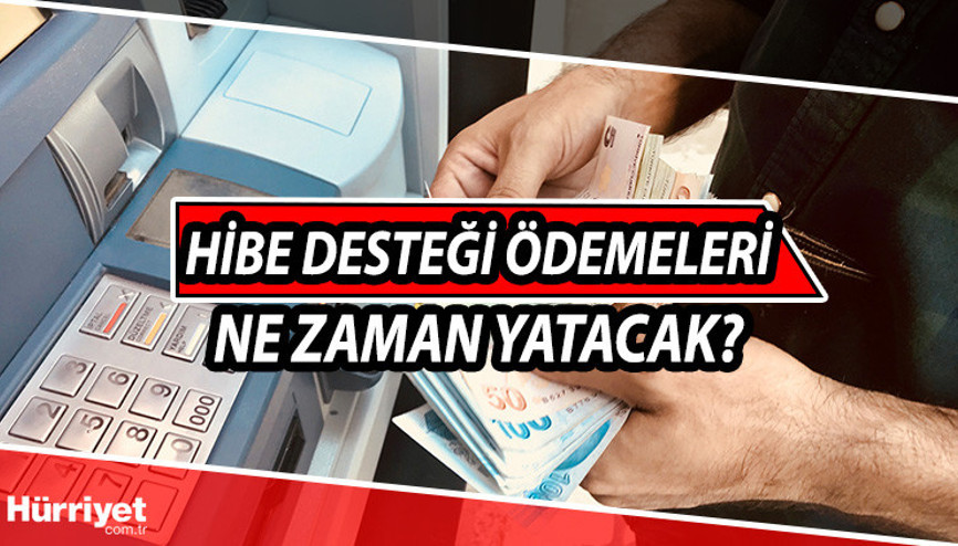 Hibe desteği ödeme bekliyor ne demek Hibe desteği ödemeleri ne zaman yatacak