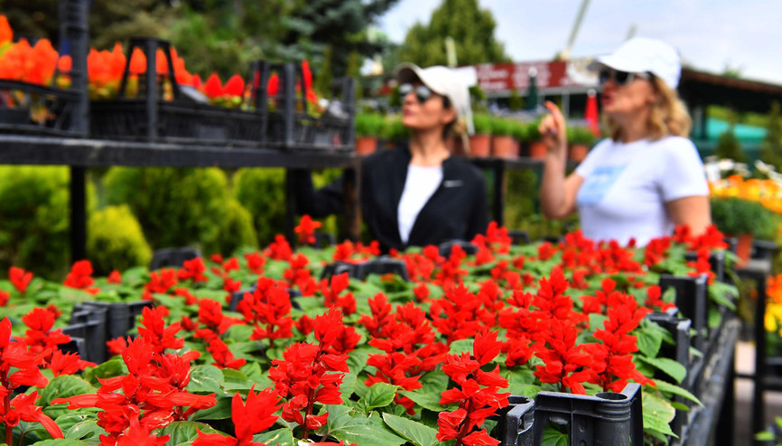 İkinci şube Mogan Park’a