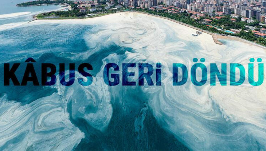 Caddebostan Sahilinde müsilaj yoğunluğu arttı