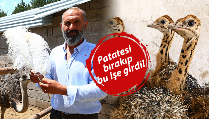 Patatesi bıraktı bu işe girdi Yılda 300 bin TL kazanıyor