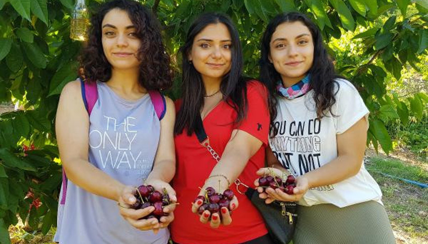 Doğa yürüyüşü yapıp kiraz hasadına katıldılar Doğa yürüyüşü yapıp kiraz hasadına katıldılar