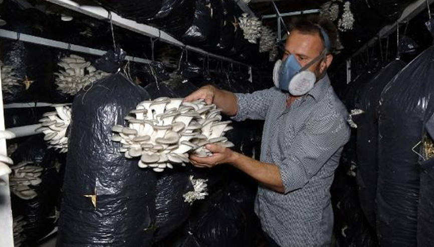 10 metrekarede başladı, şimdi siparişlere yetişemiyor