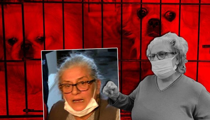 Uygunsuz koşullarda köpek besleyen kadına eşinden tazminat davası Uygunsuz koşullarda köpek besleyen kadına eşinden tazminat davası