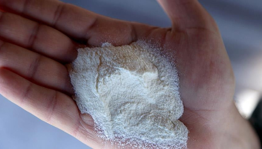 Çine 250 ton süt tozu ihracatı