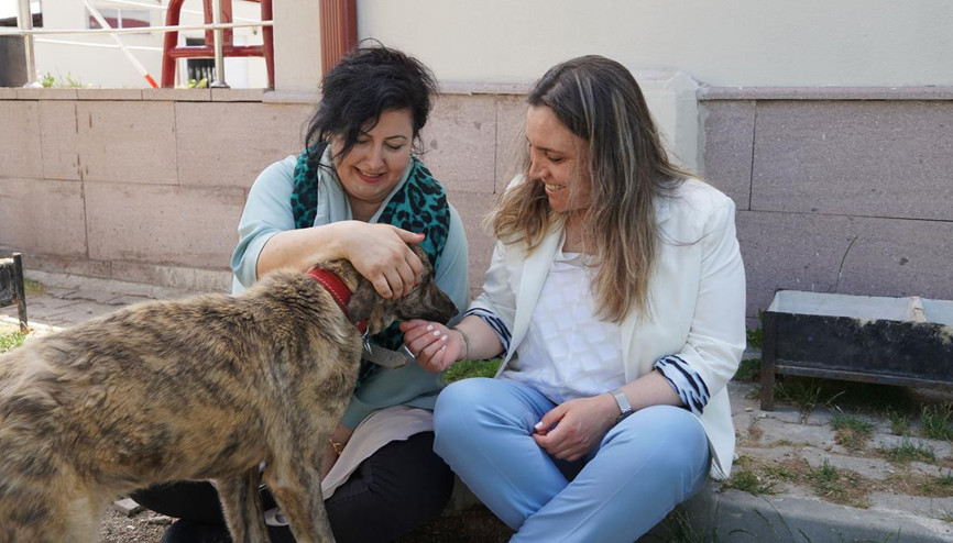 Badem ve Oli maskot oldu