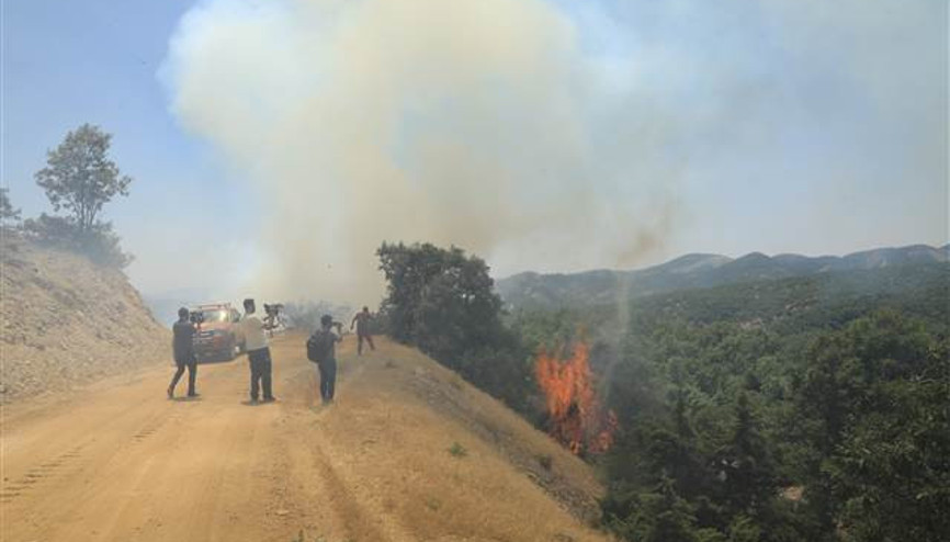 Bingölde 2 gün önce ormanlık alanda çıkan yangın sürüyor