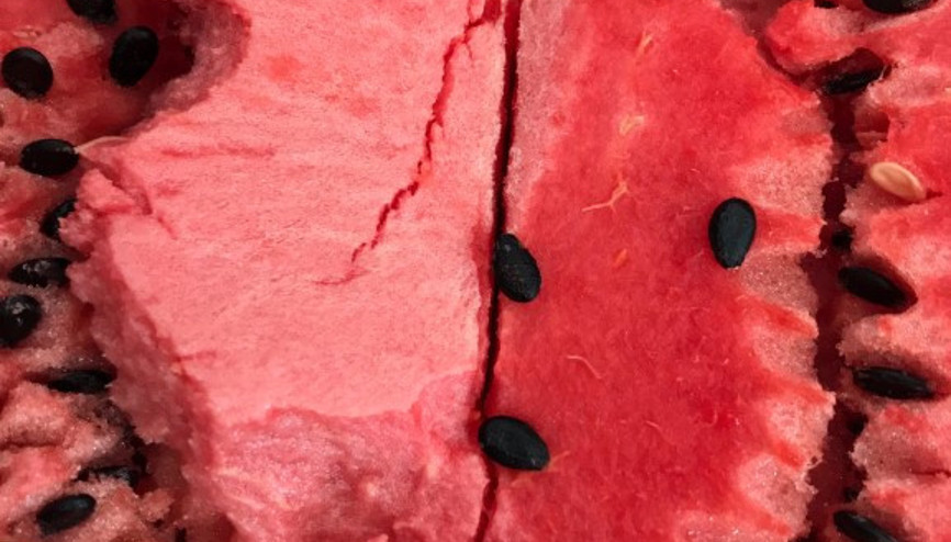 Karpuz alırken riskler neler, meyvenin içindeki çatlaklar ne anlama geliyor | 9 SORU 9 YANIT