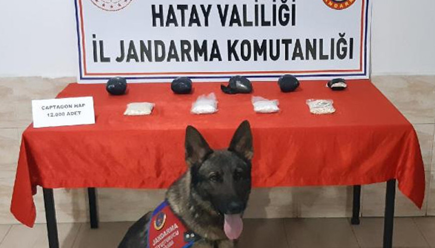 Hatayda 12 bin uyuşturucu hap ele geçirildi 1 tutuklama