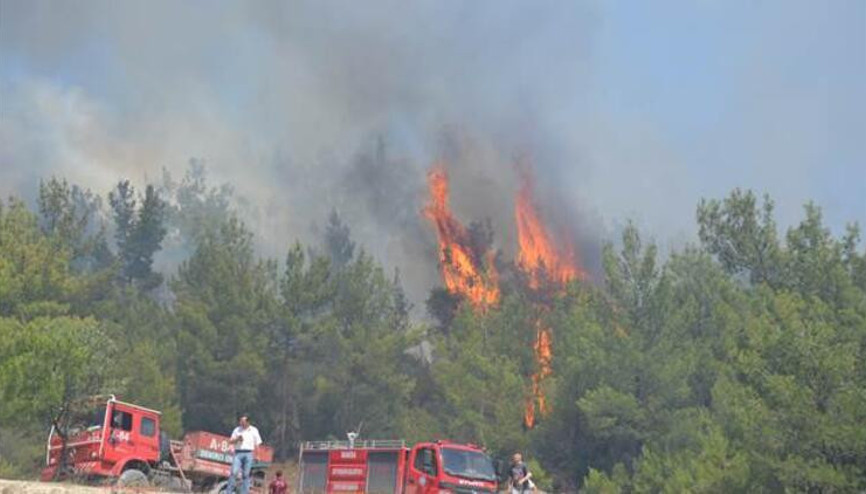 Manisanın Demirci ve Soma ilçelerinde orman yangını