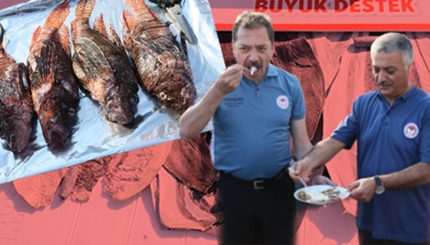 Balon balığı alım töreninde, aslan balığını mangalda pişirip yediler