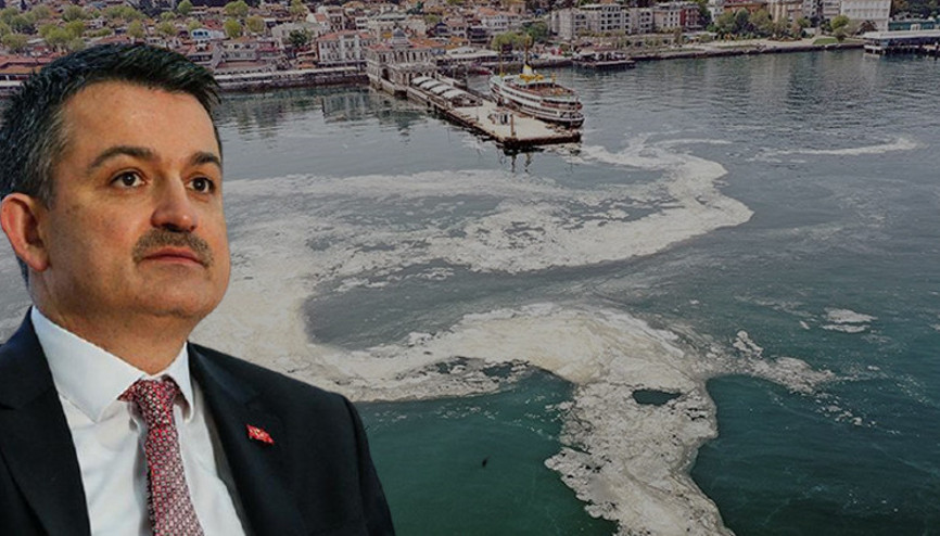 Son dakika: Bakan Pakdemirliden Marmara Denizindeki balık durumuna ilişkin önemli açıklama