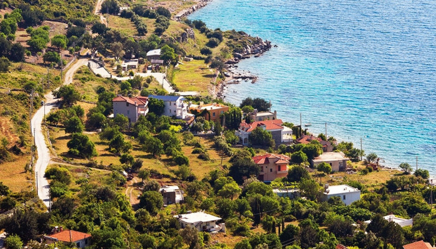 Bana Söğüt’ü bırakın, geri kalan dünya sizin olsun