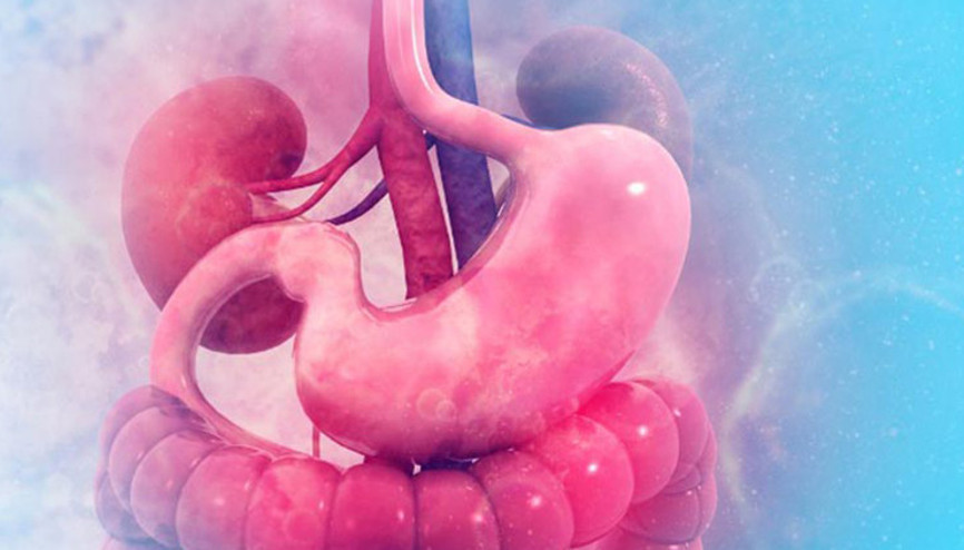 Gastrit Nedir, Neden Olur Gastrit Belirtileri ve Tedavisi
