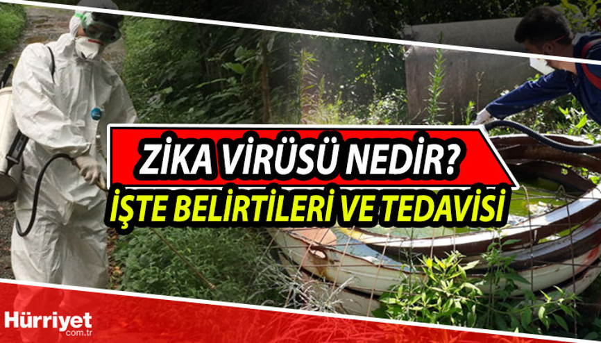 Zika virüsü nedir, belirtileri nelerdir Hindistanda yeniden görülen Zika virüs hastalığı bulaşıcı mı İşte tedavi yöntemleri