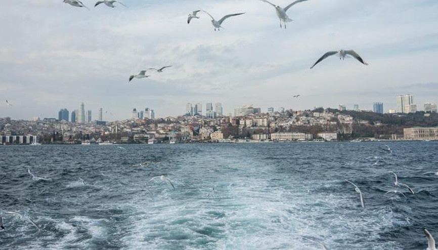 Bakan Kurum, Marmarada balıkların görünmeye başladığını kaydetti
