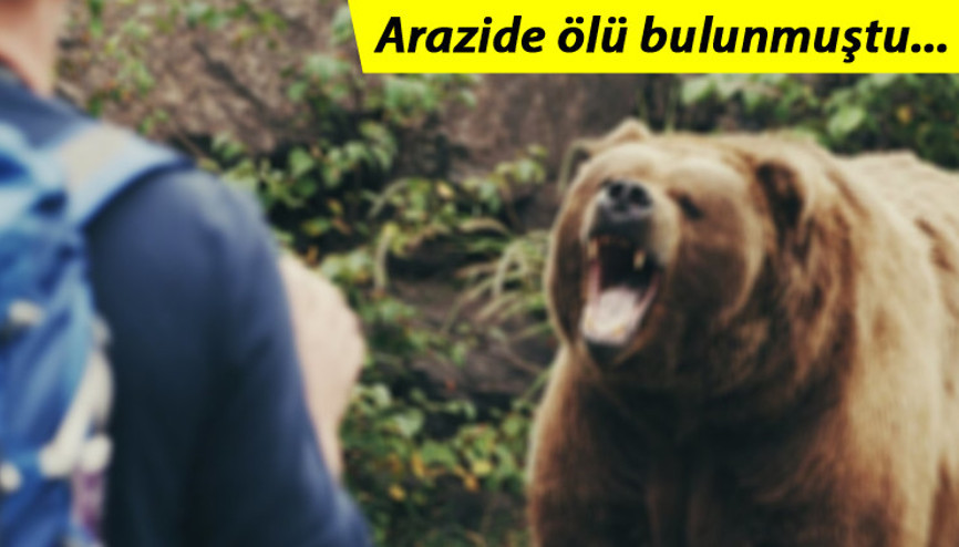 Sır perdesi aralandı Valilikten açıklama: Pençe ve diş izleri...