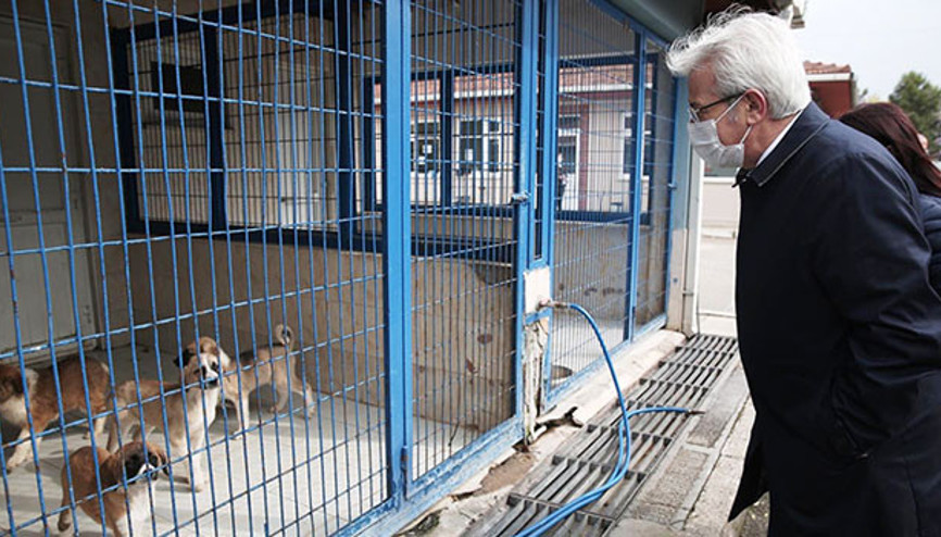 ‘Onay çıkarsa hemen yaparız’
