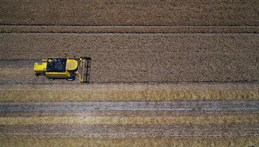 Tarım ÜFE haziranda arttı