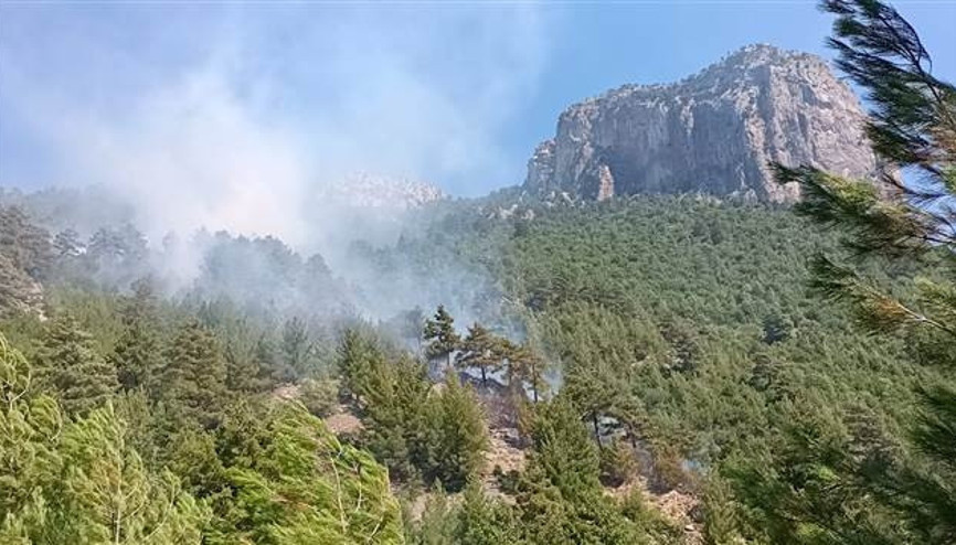 Son dakika... Adanada 3 ayrı bölgede çıkan orman yangınları söndürüldü