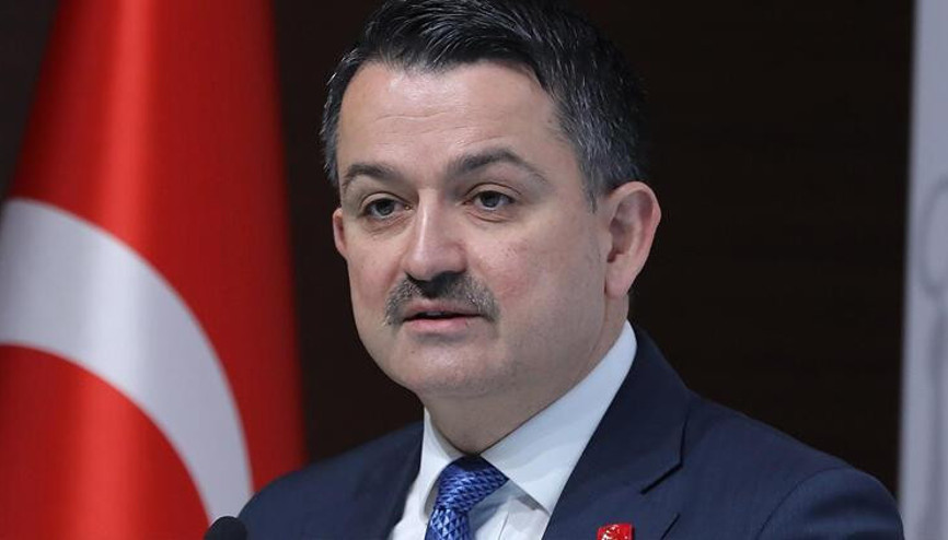 Bakan Pakdemirli yangın bölgesinde inceleme yaptı