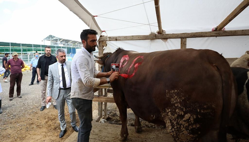 Satış alanında Paşa pazarlığı