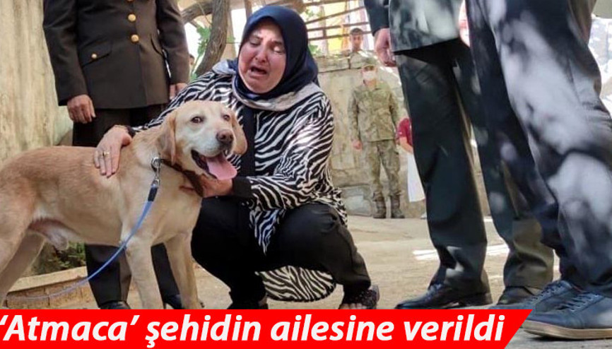 Şehit onbaşı Ahmet Akdalın köpeği Atmaca şehidin ailesine verildi... Gözyaşlarına boğuldular