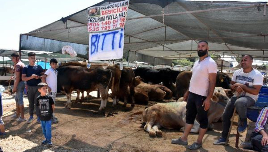 Kurban pazarlarında son gün yoğunluğu Kurban pazarlarında son gün yoğunluğu