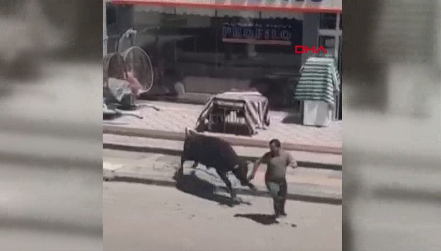 Sahibinin elinden kaçan kurbanlık boğa, kafeteryaya girdi O anlar kamerada